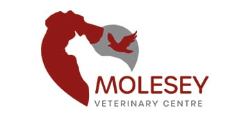 Molesey Veterinary Centre
