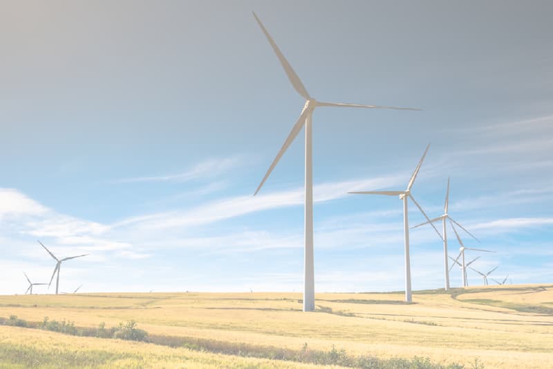 E.ON Case Study Header
